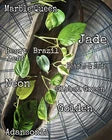 Choose your 5 fresh houseplant cuttings!