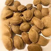 Apricot Seeds – Grow Your Own Apricot Tree
