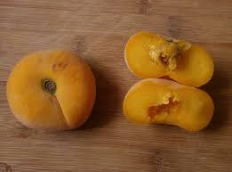 Doughnut Peach Seeds